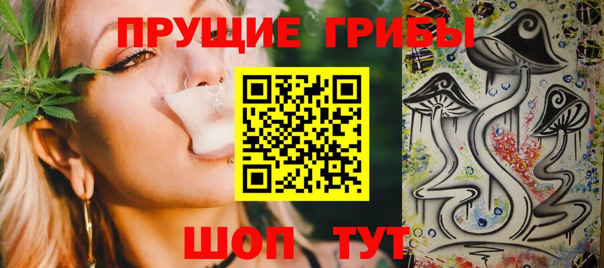 Псилоцибиновые грибы Psilocybine cubensis Курчатов