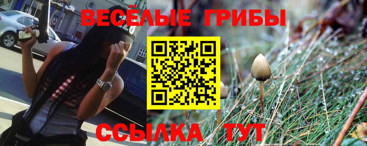 Галлюциногенные грибы MAGIC MUSHROOMS  Псилоцибиновые грибы GOLDEN TEACHER  Курчатов  Вход с VPN 